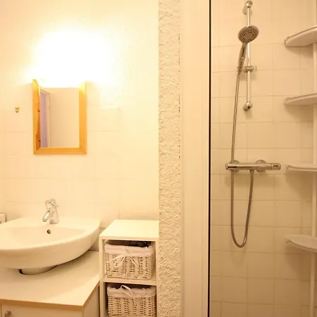 Daire Mont-dore, F3 Confortable Avec Terrasse, Parking, Proche Centre - Fr-1-415-98 *